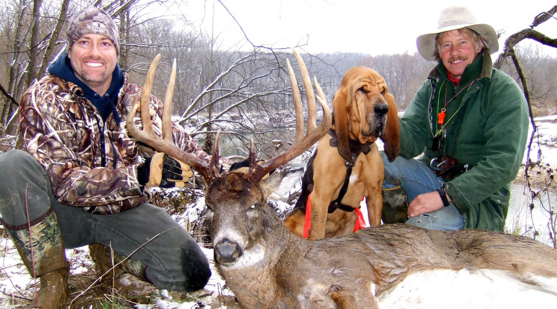 Should You Hire a Blood Tracking Dog to Find Your Deer