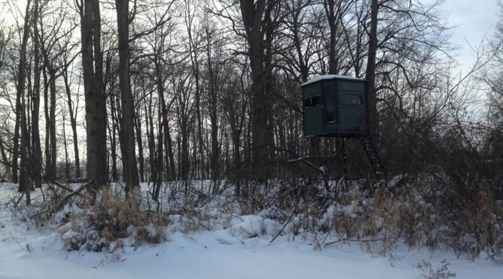 The Benefits of Predator Hunting