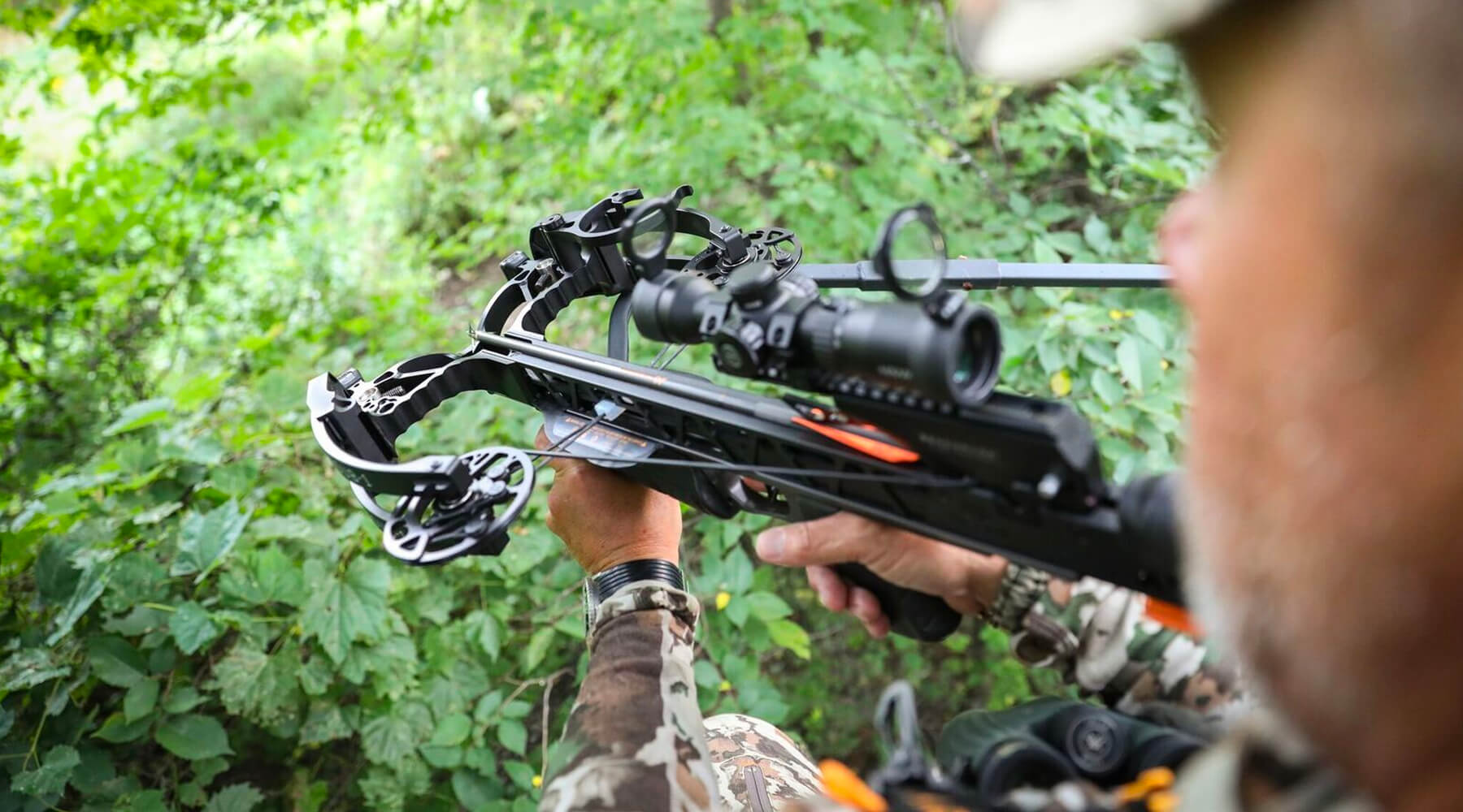 3 Crossbows To Check Out