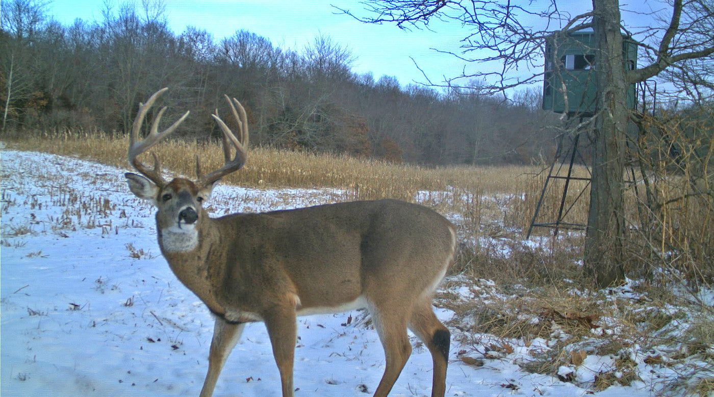 The Redneck Blind Blog - Redneck Blinds