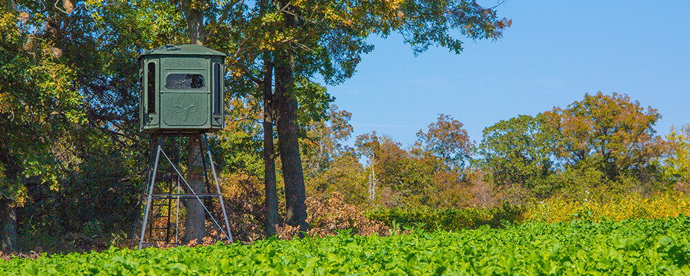 Hunting Stands