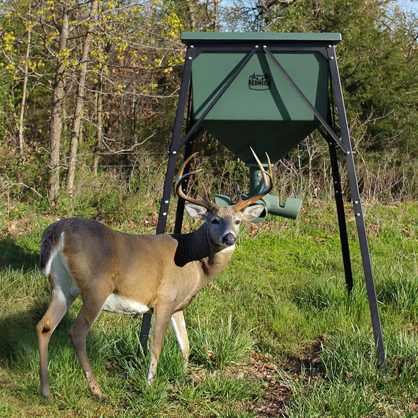 Large buck feeding at a gravity deer feeder